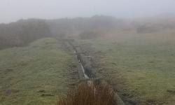 Featured image of post East Dartmoor