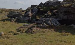 Featured image of post West Dartmoor