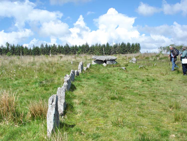 New cist with row, at SX 64480 77608