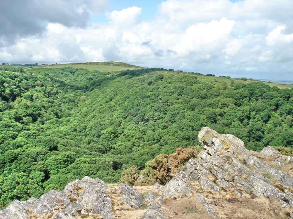 Looking across Belstone Cleave to Ashbury Tor at SX 6050 9405