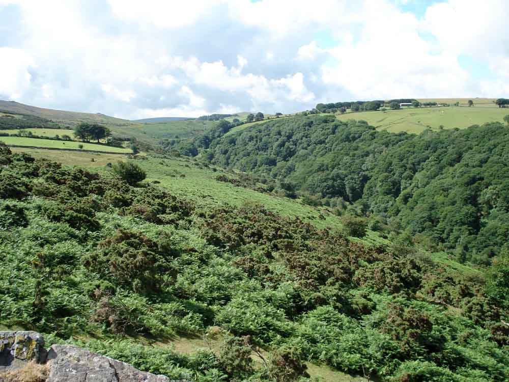 Looking up Belstone Cleave towards Scarey Tor, with the East Okement River down in the valley