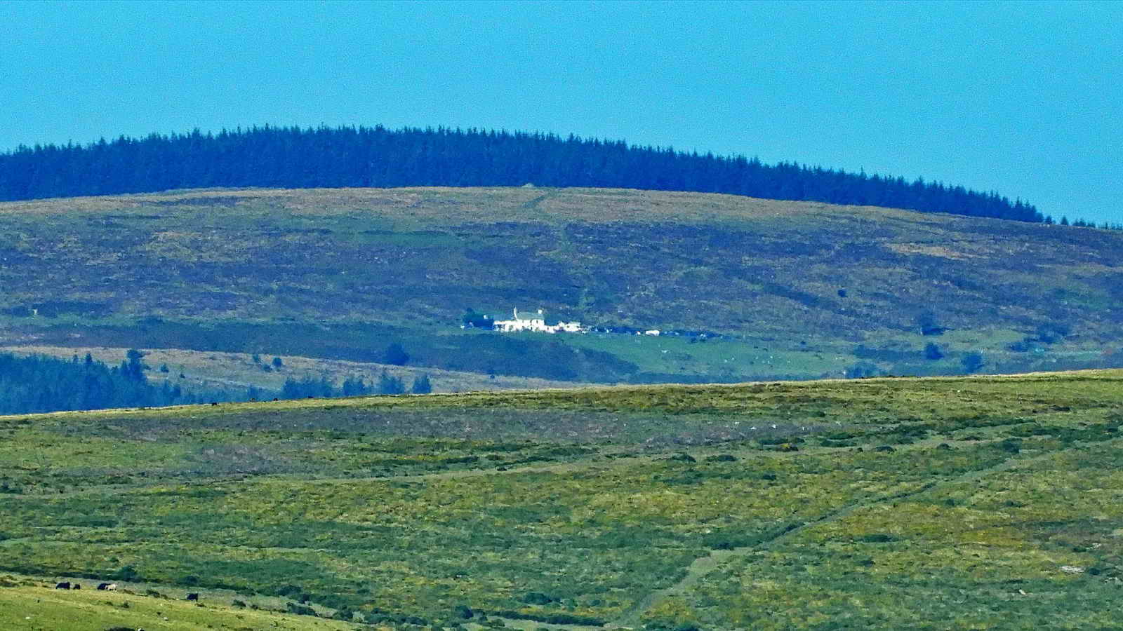 Warren House Inn, 6 miles distant, with Fernworthy Forest behind