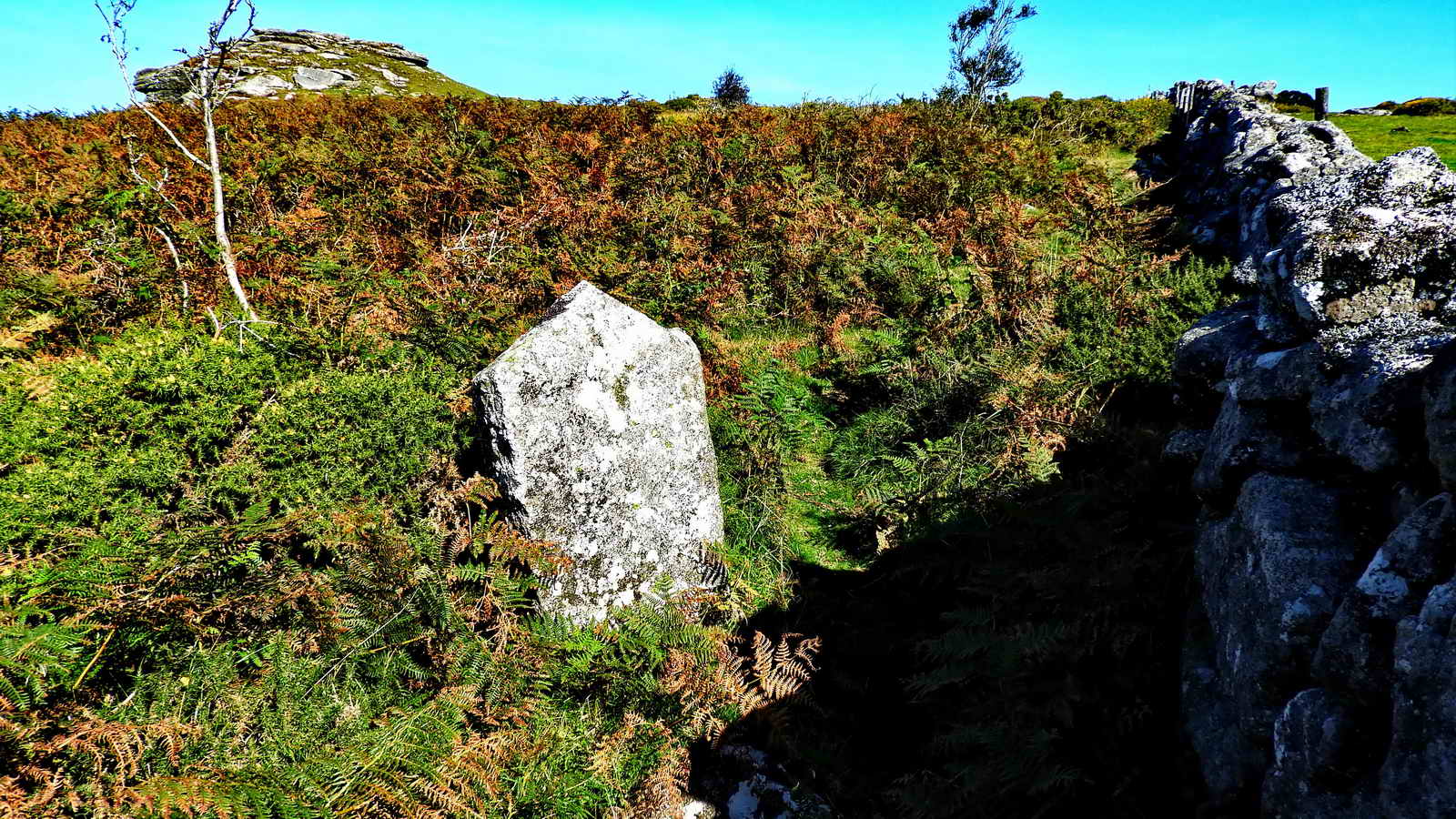 An Ashburton/Buckland parish boundary stone at SX 73558 73037, 75 meters downhill from the stile between the beacon and Welstor Common