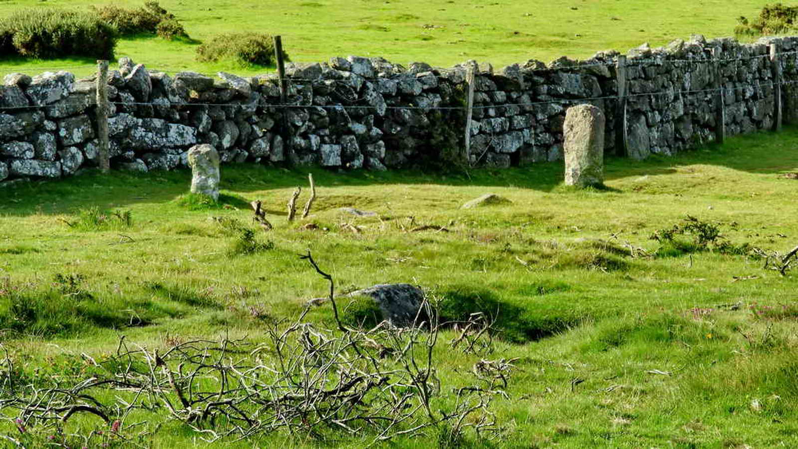 Double boundary stones beside the Welstor Newtake Wall, at SX 73734 73858