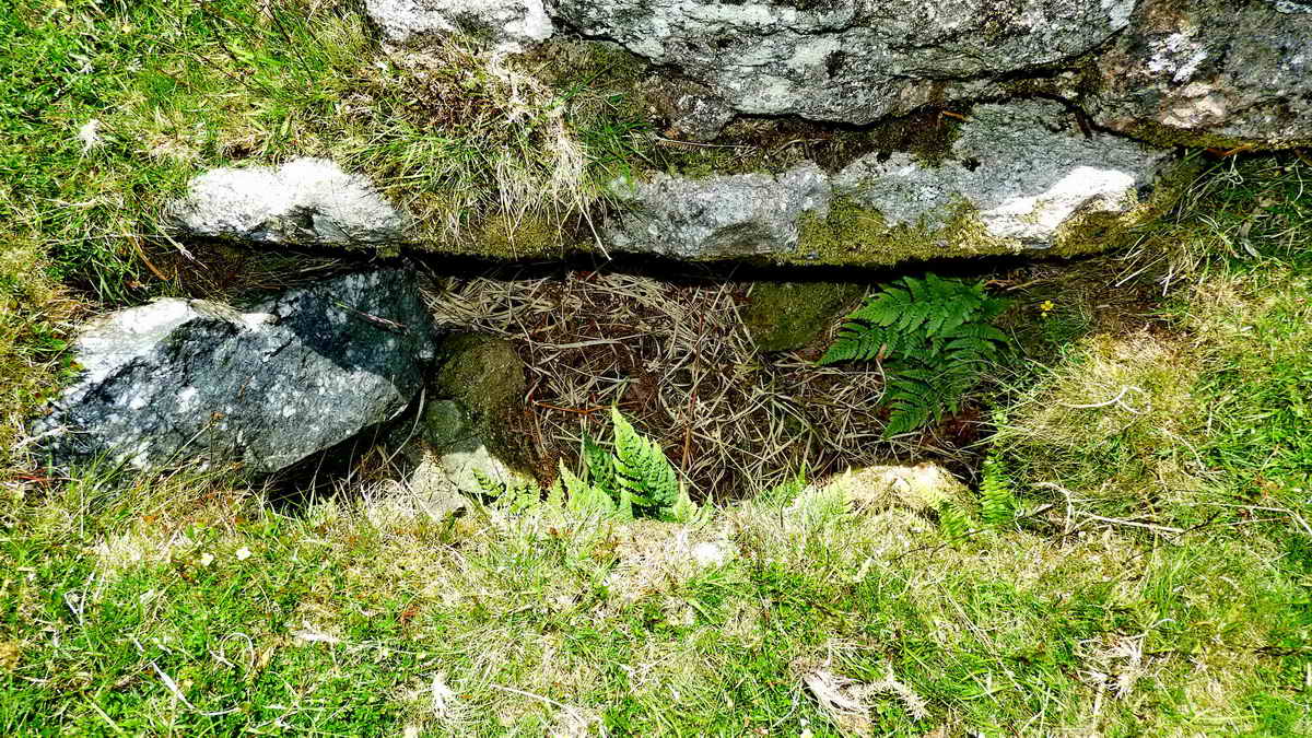 Looking down into the cist itself