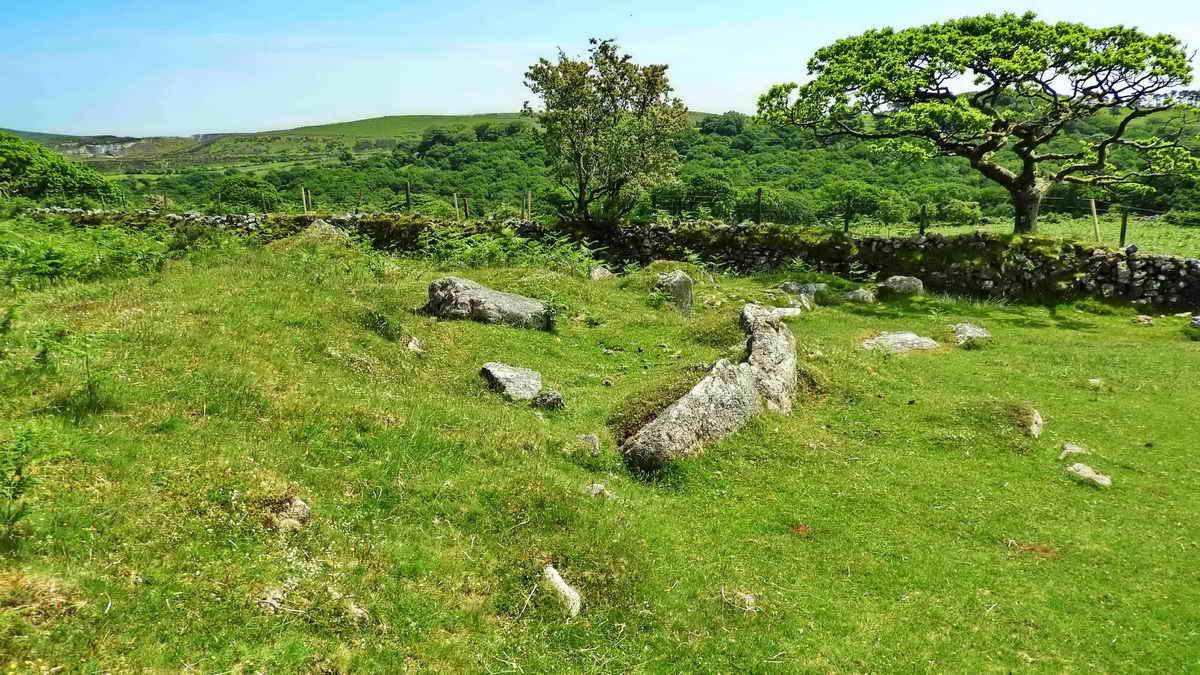 Wigford Down cairn cist at SX 54420 64424