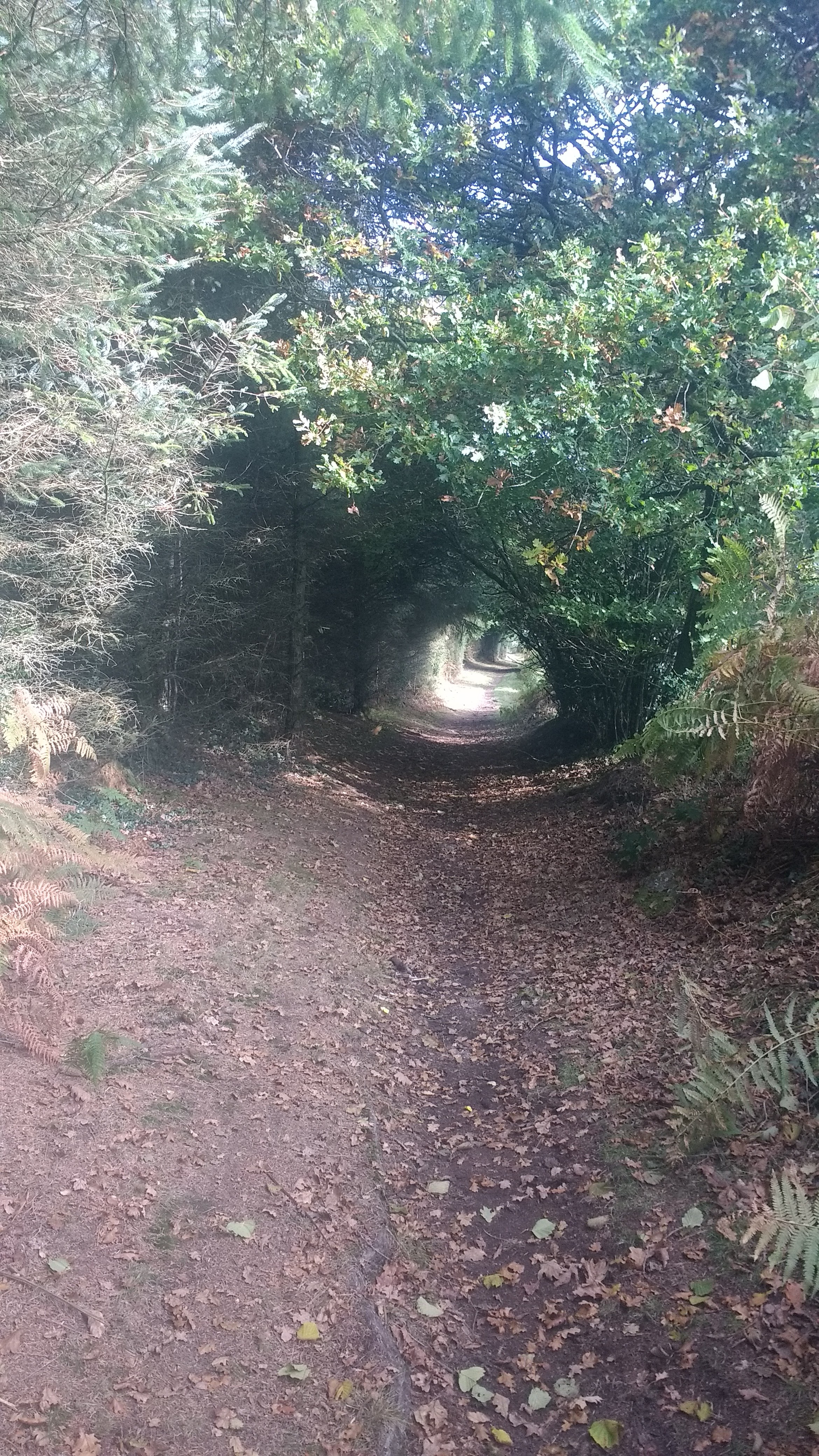 The path past Hollowpark Rock