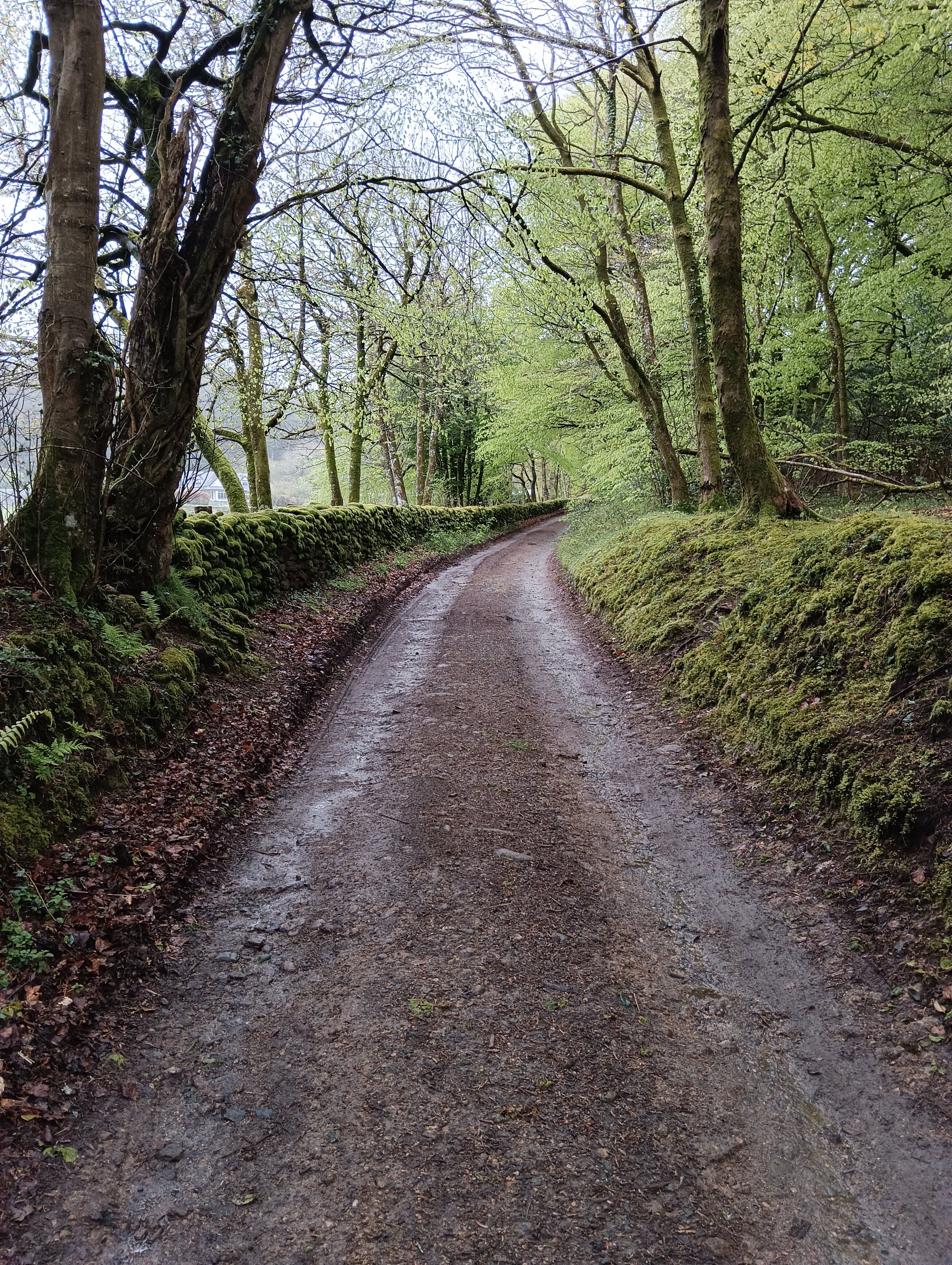 Road leading back to Quaker Burial Grounds