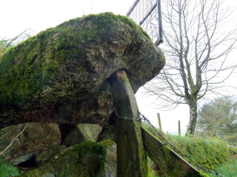 Featured image of post Cox Tor Circular