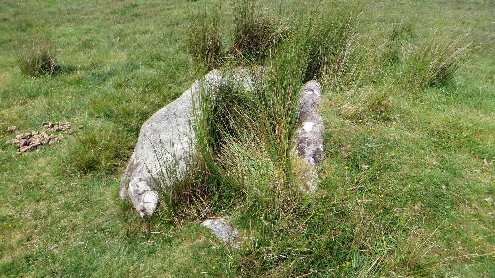 Cist 22 at SX 59029 66719