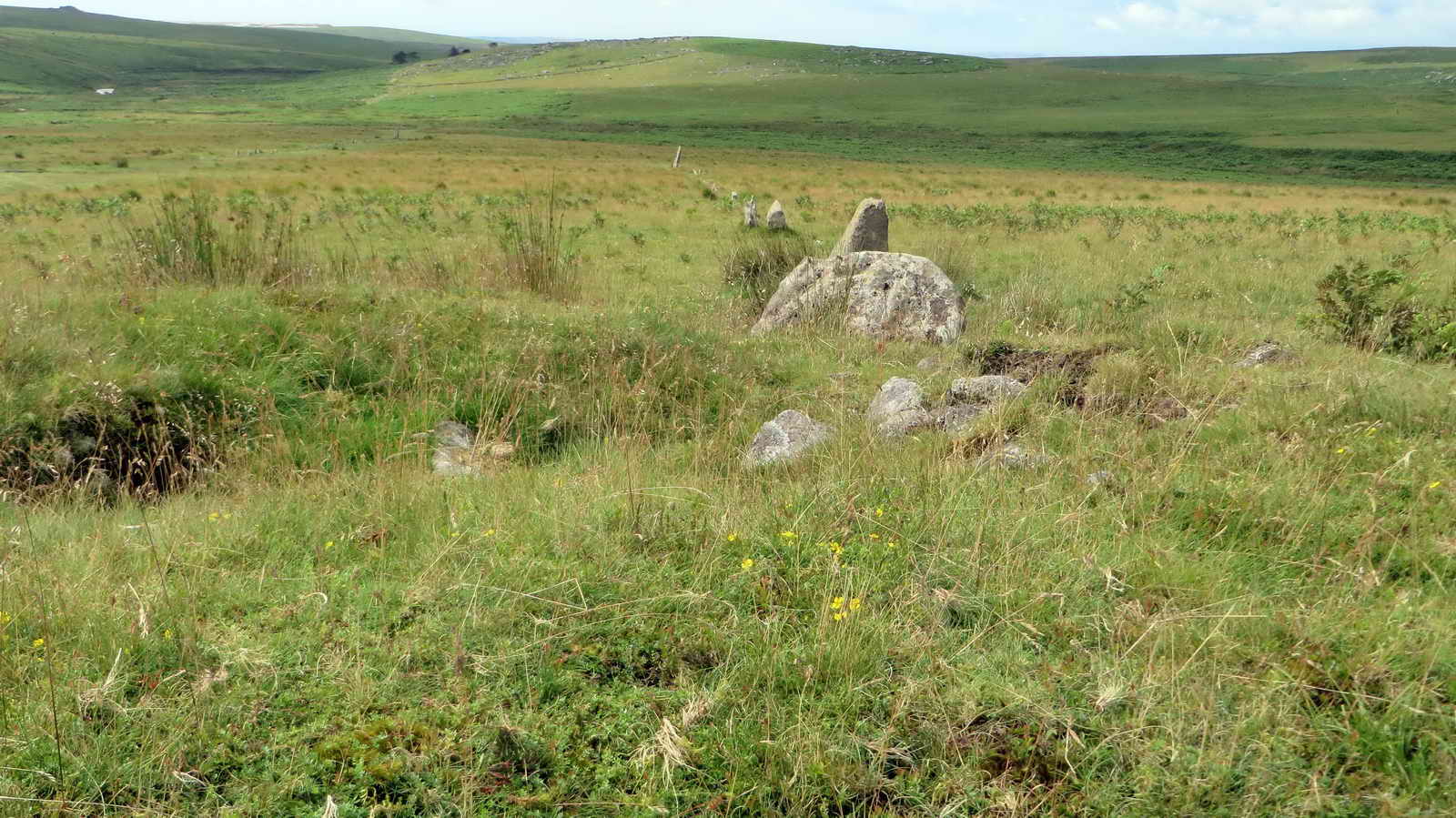 Lower perspective view of row 3