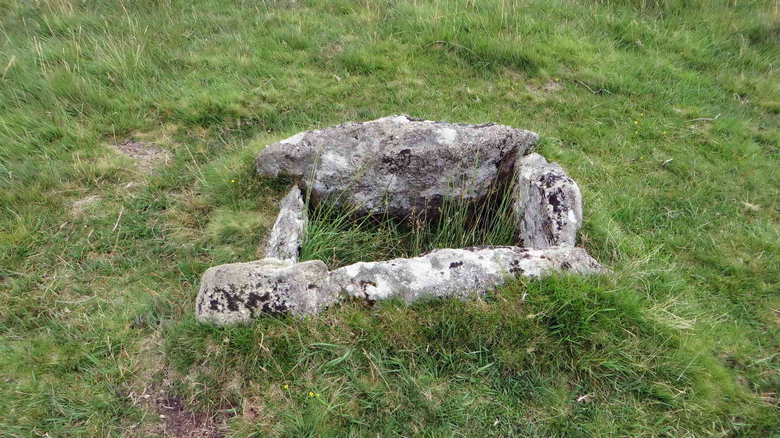 Cist 17. Intact except for its capstone