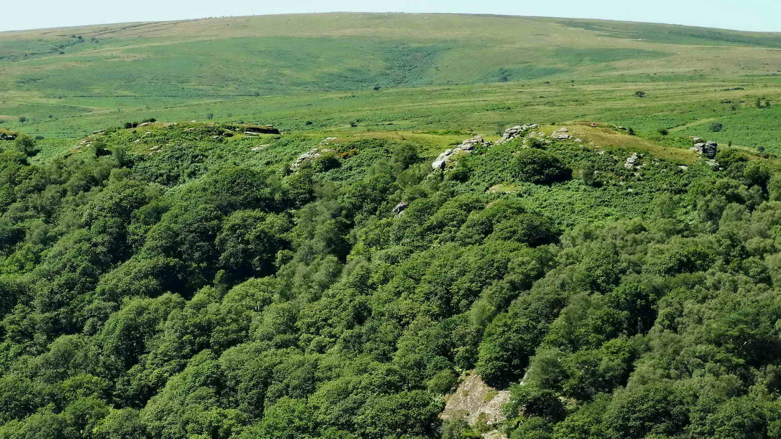 View across the Dart Valley to the South, with Bench / Benjy Tor on the other side