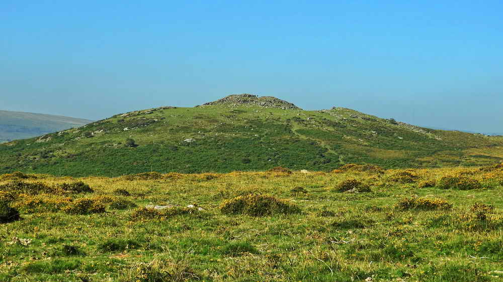 Sharp Tor to the West - 380 metres (1246 feet), SX 686 729