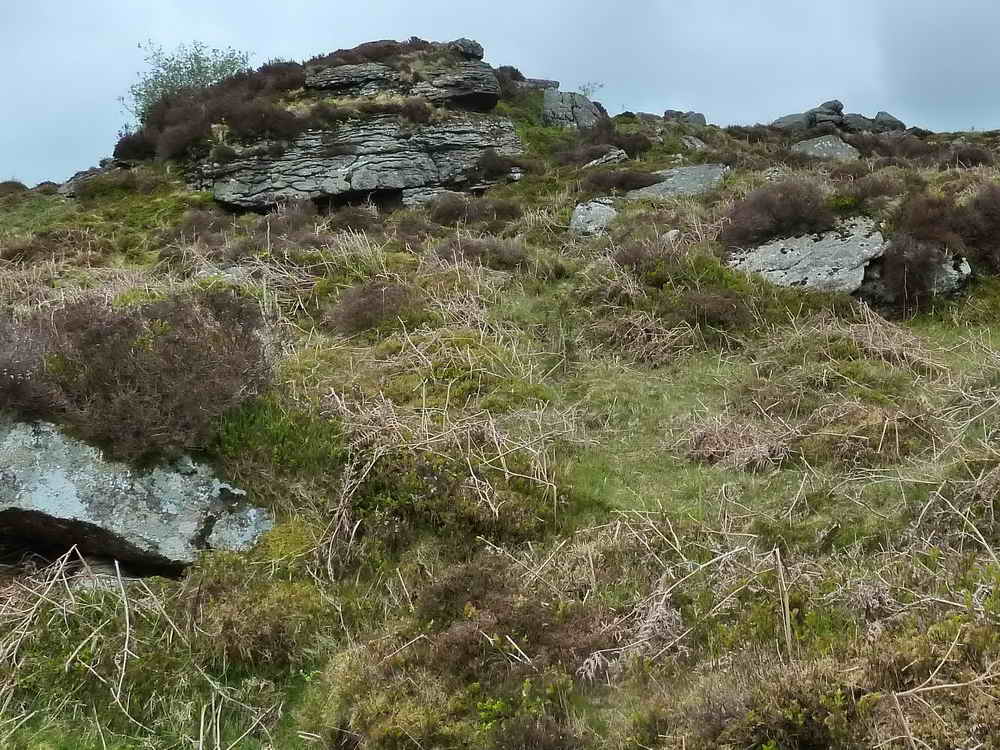 View to the area believed to be Fitches Holt