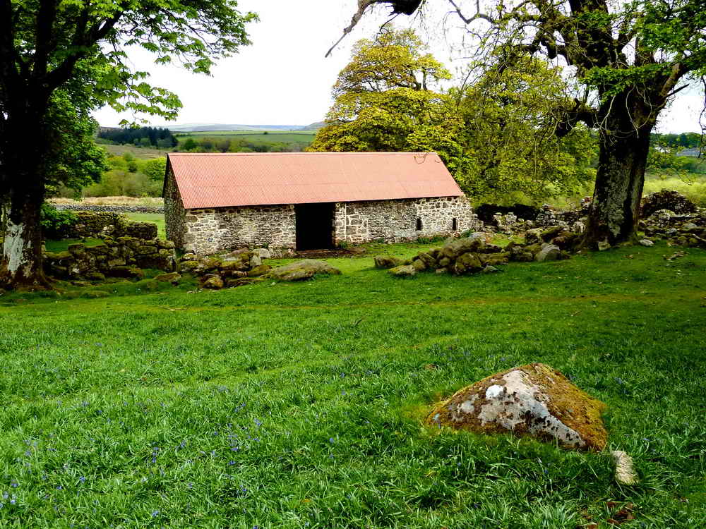 Emsworthy Barn, showing the carpet of bluebell plants in front of it