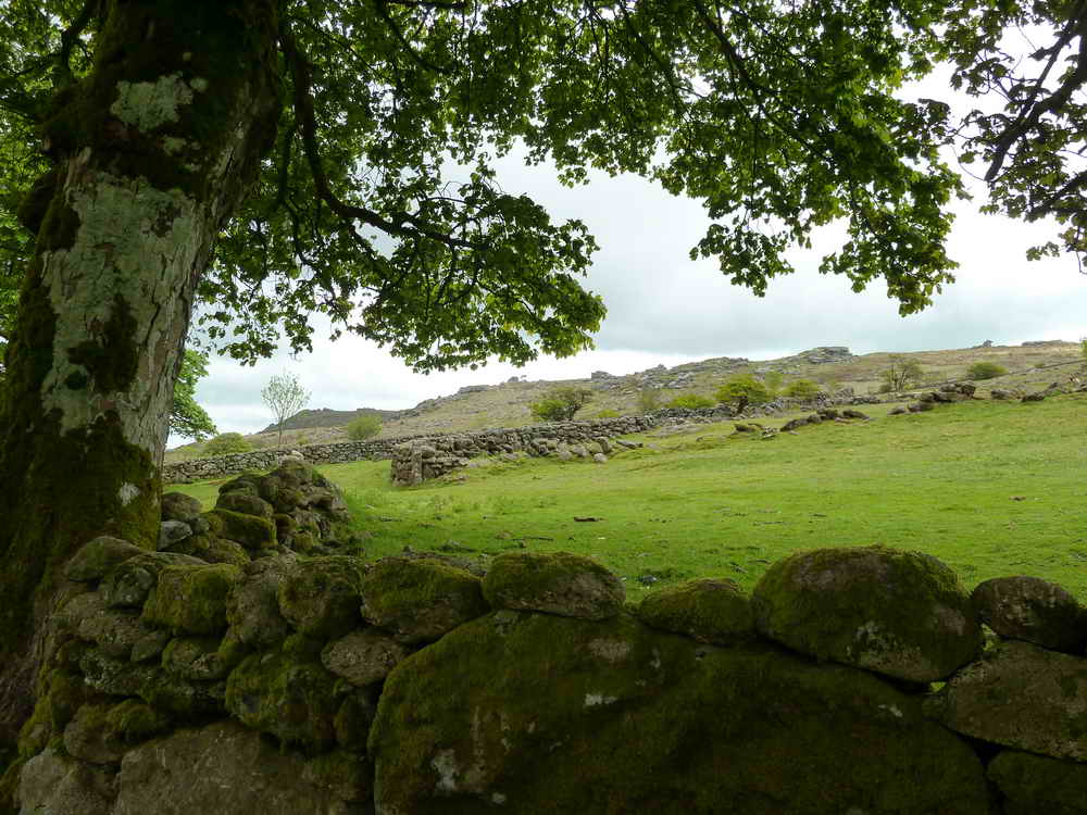 View to Emsworthy Rocks