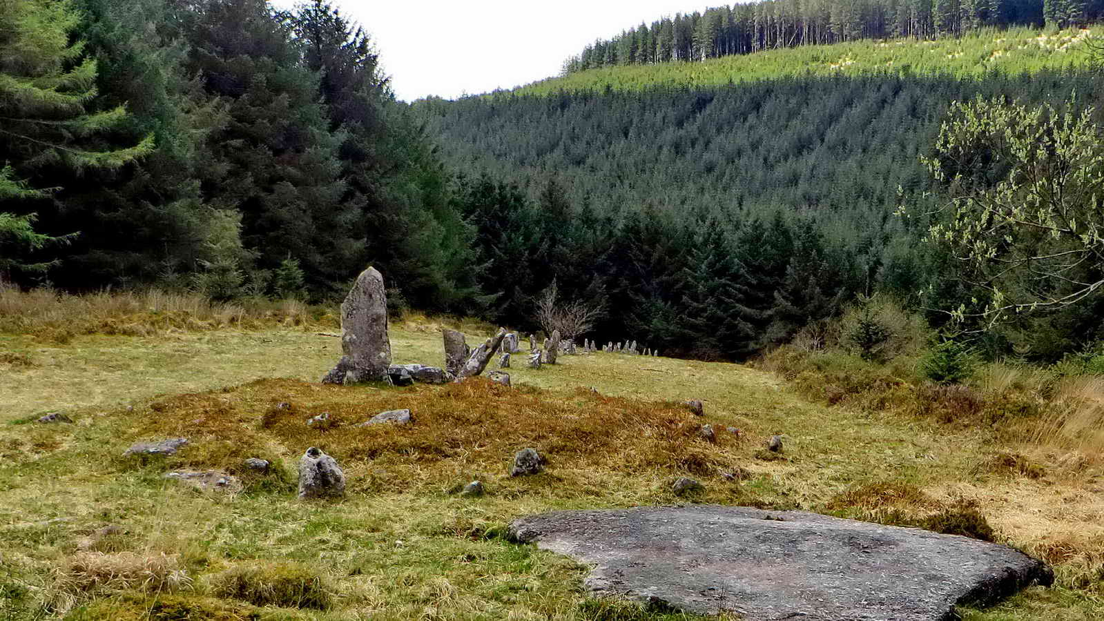 Looking down the Double Stone row showing a cairn behind the Menhir