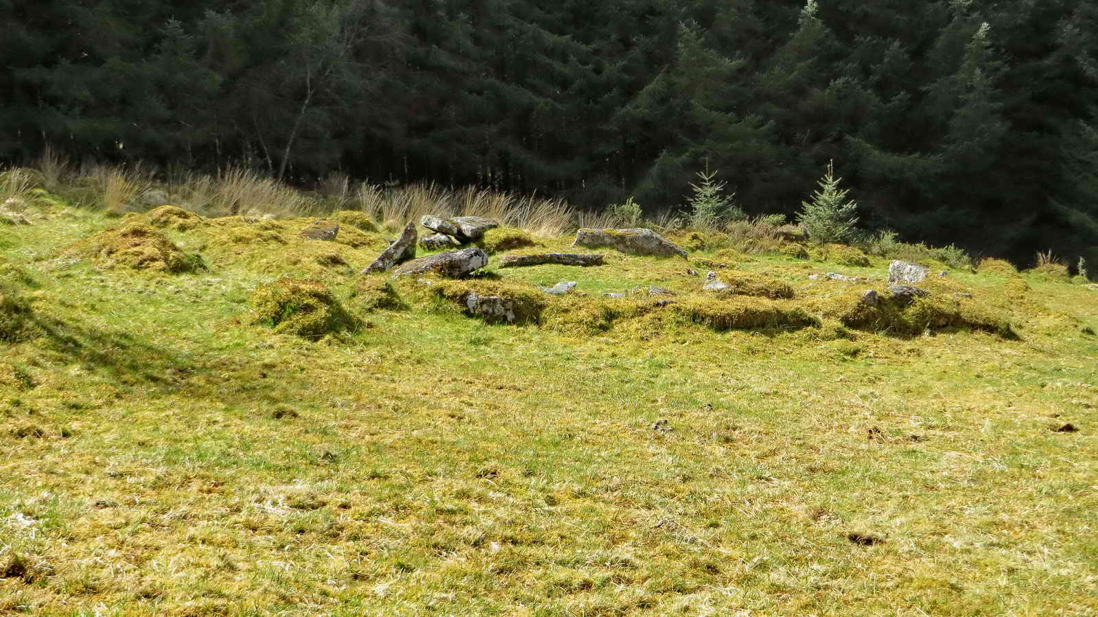 A hut circle close beside the row