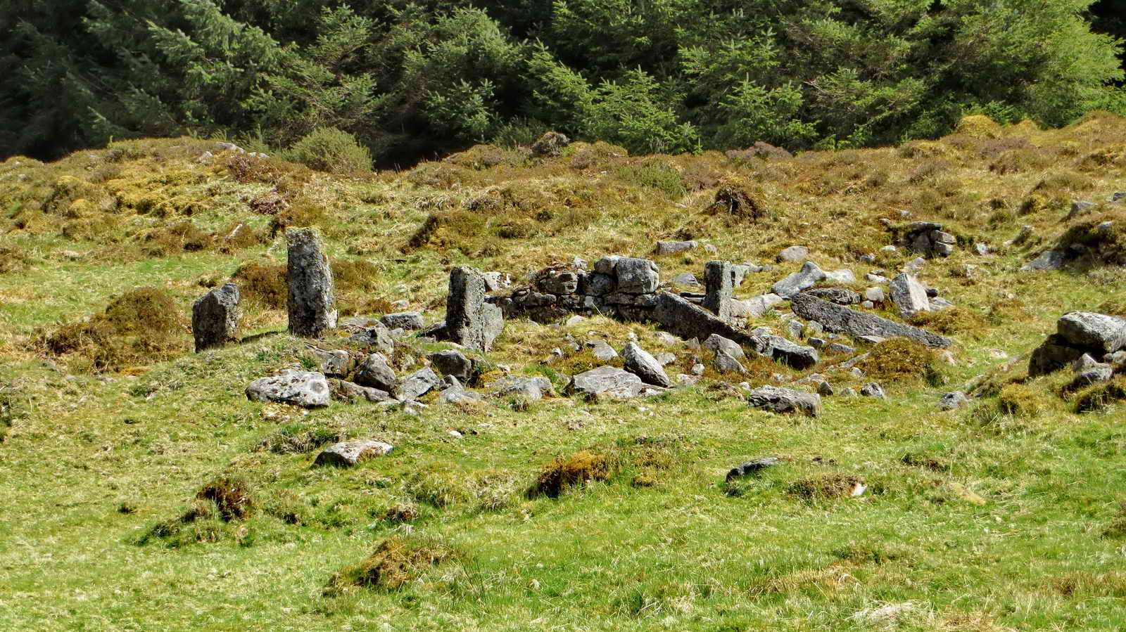 Assycombe Farm Ruins