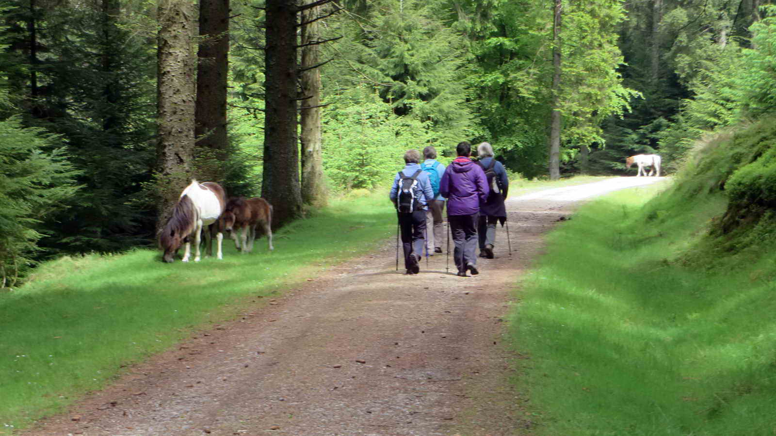 Returning to the car park