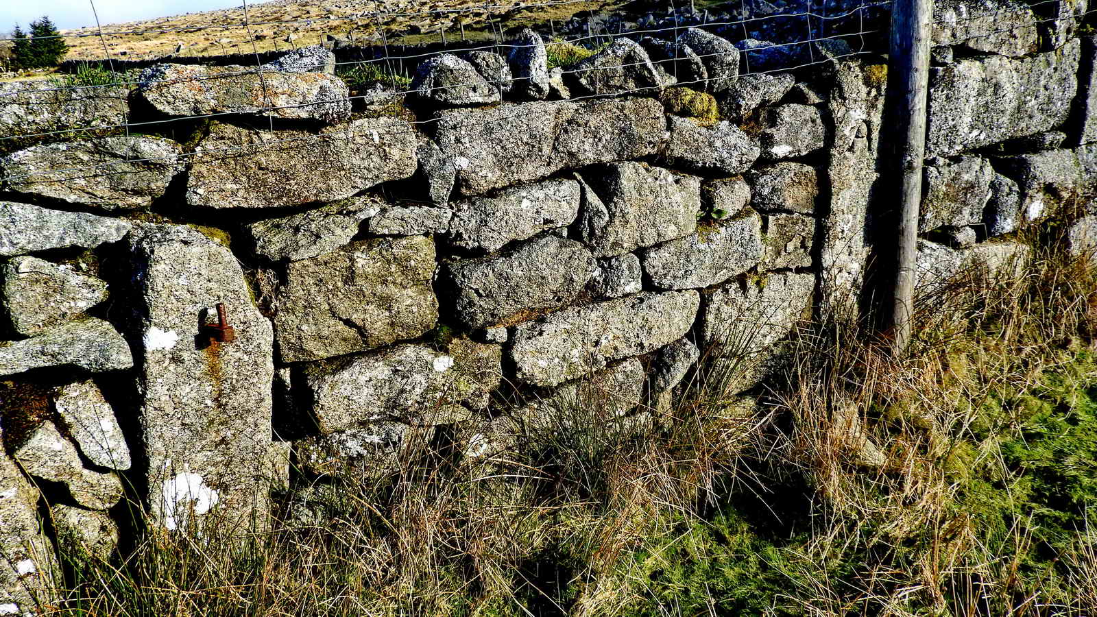 The TA stone (the Medieval Tavistock-Ashburton packhorse track) incorporated into a now-blocked up gateway, at SX 56718 74141. This is in the angle between two walls below the track. An iron gate hanger is still on position on the left post