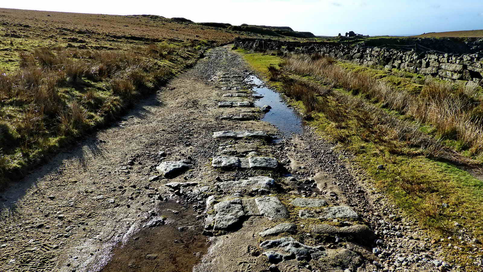 Worn or “worked” tramway setts at  SX 56708 73953 showing evidence of the horse-drawn railway