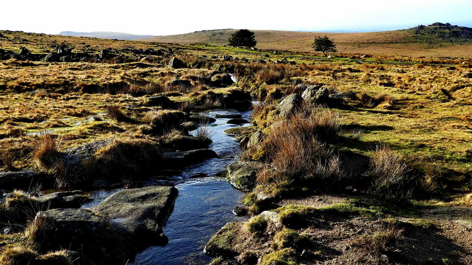 Just above the car park is the leat that supplied Red Cottages