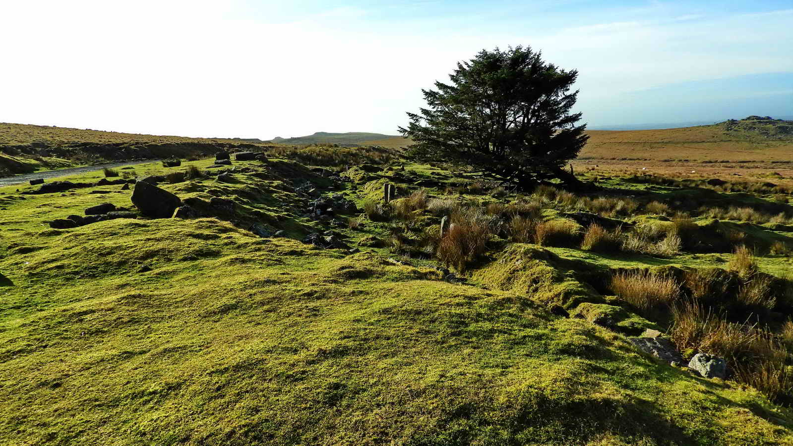 The site of Red Cottages