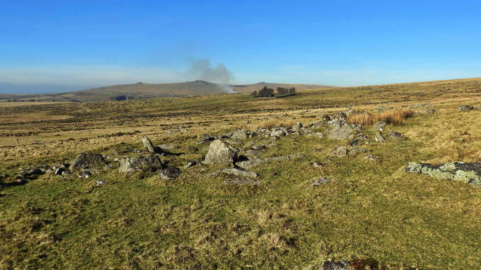 A round house / hut circle in the Bronze Age enclosure at SX 56412 74503 below the track from Yellowmeade to Red Cottages