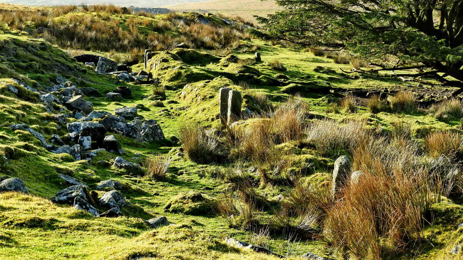 Some of the gateposts