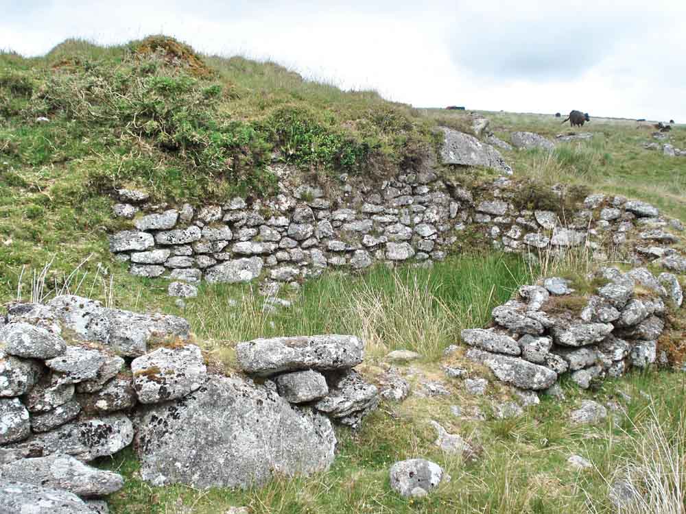 Ruins near the River Swincombe