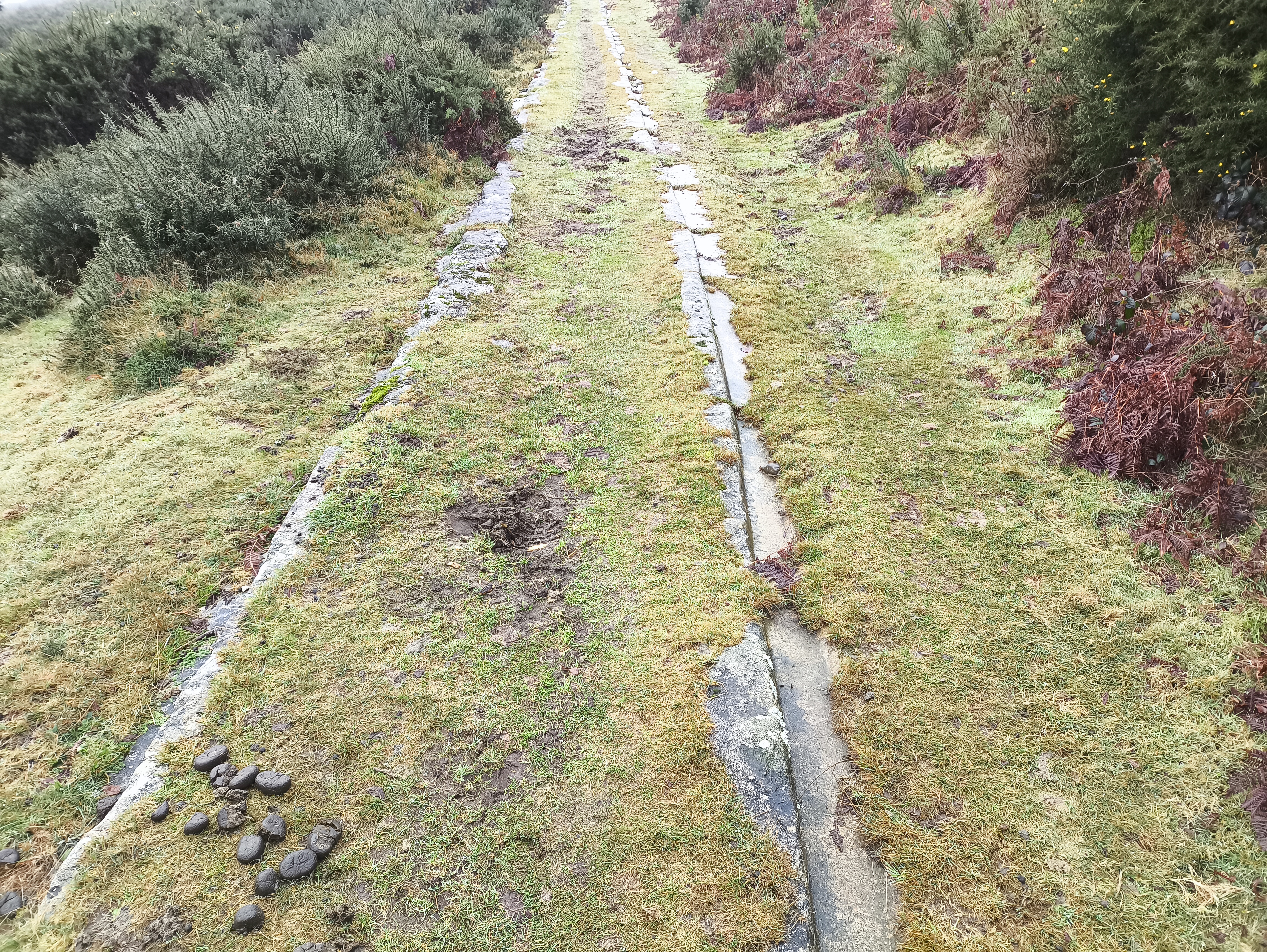 The Haytor Granite Tramway