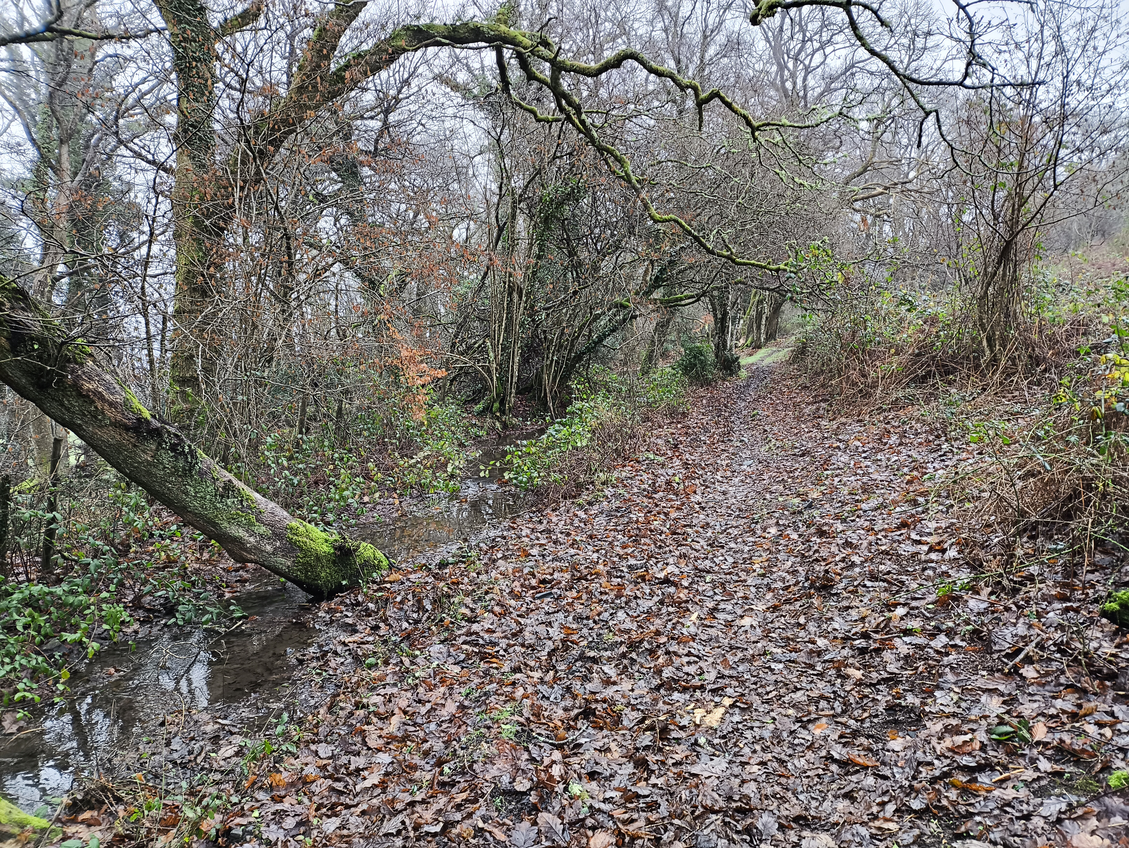 The ditch is often dry in the summer, but not today