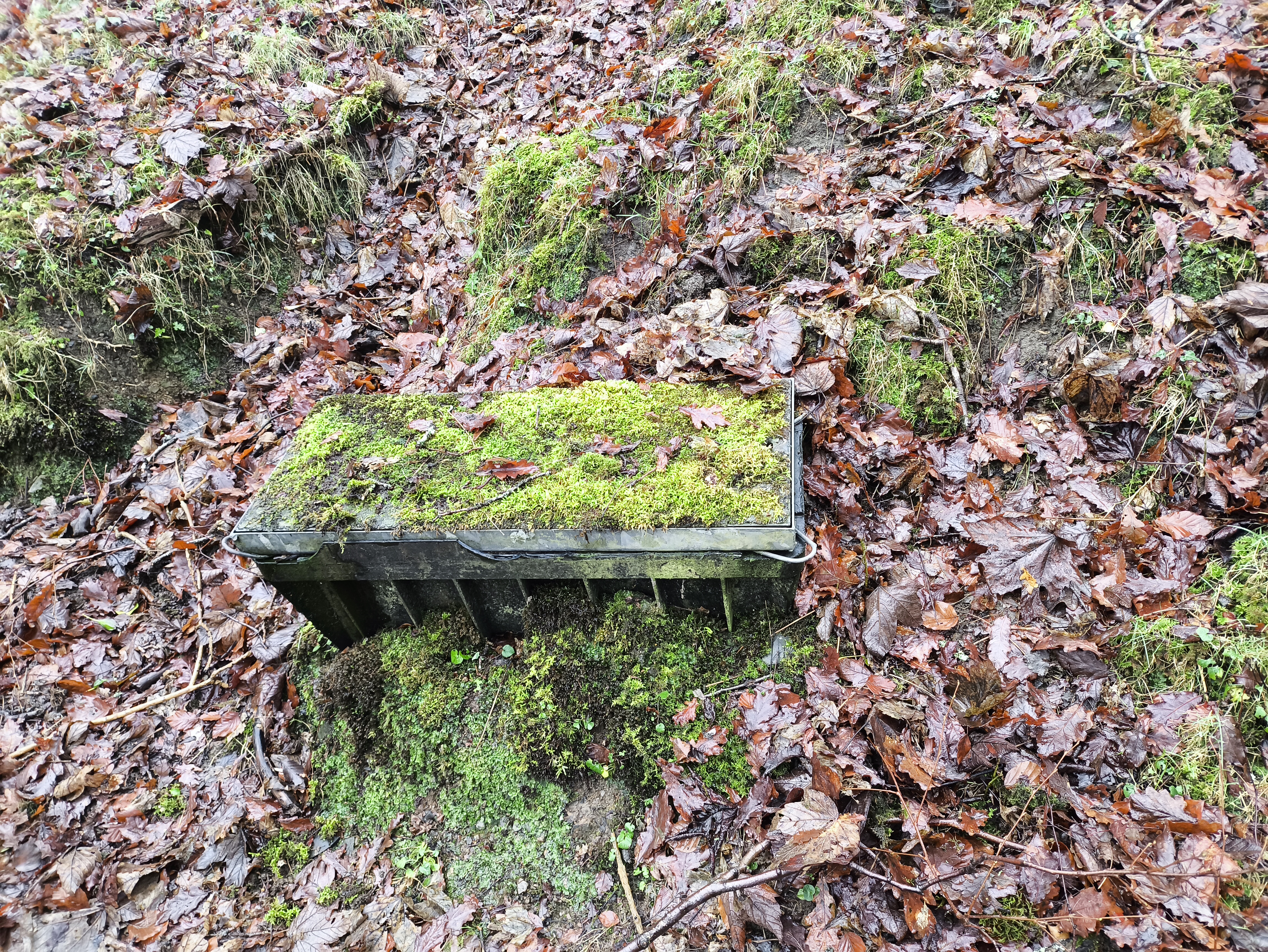 A cable box owned by British Telecom