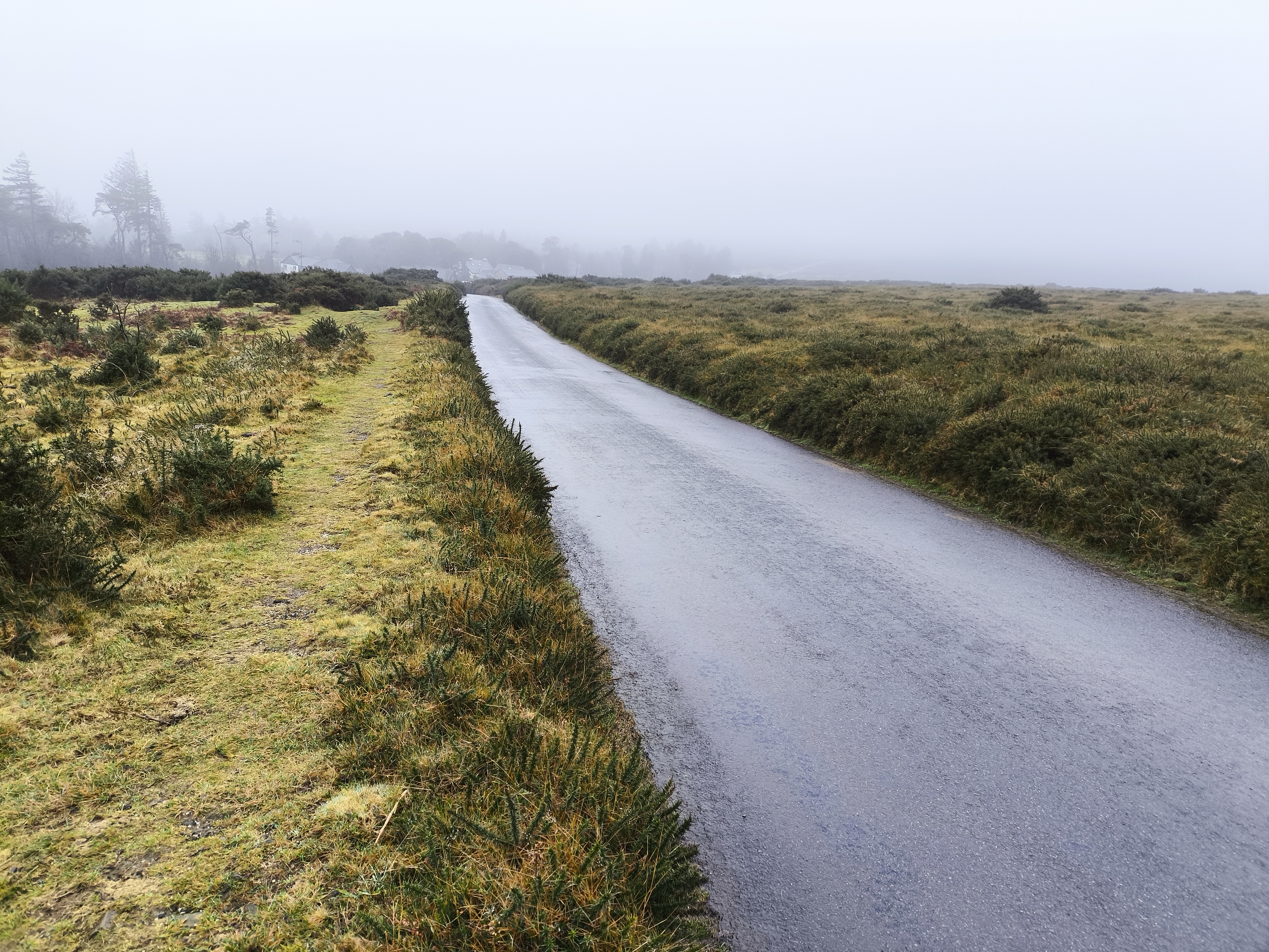 Walking down the road towards Haytor Vale