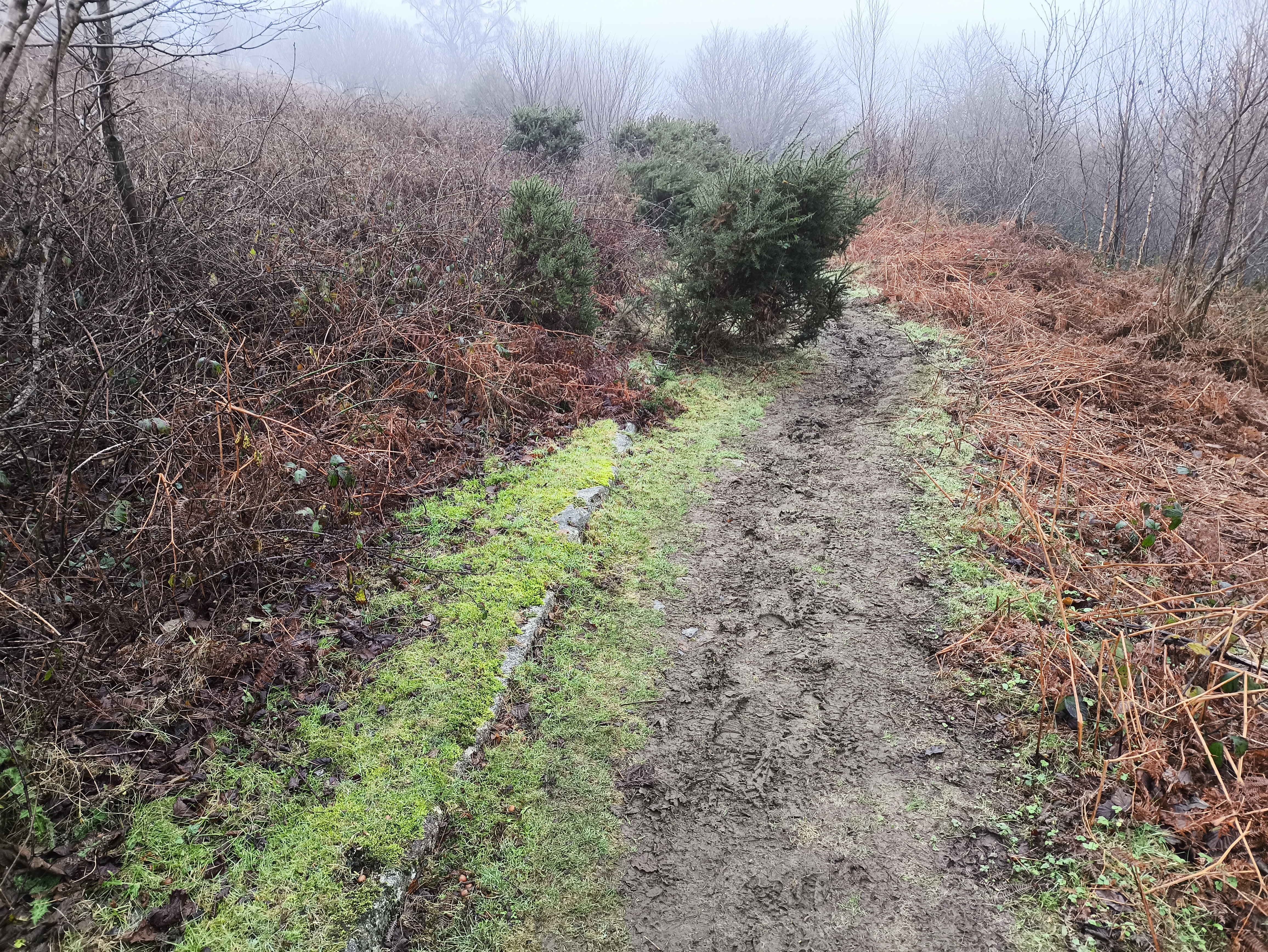 The rails enduring winter mud