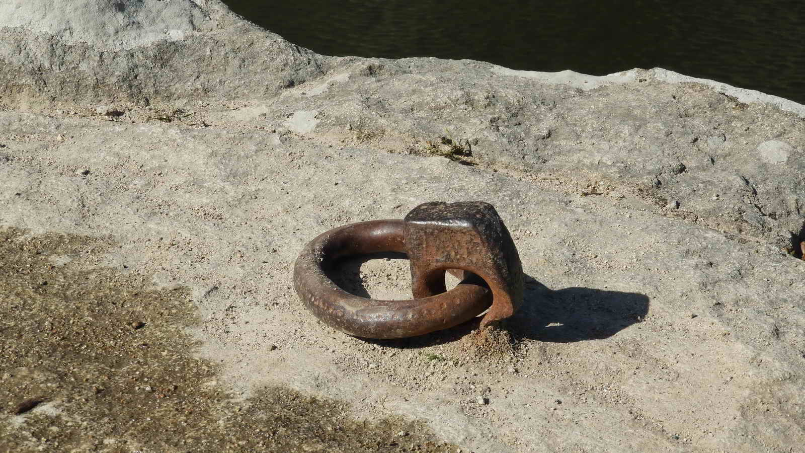 A close up of of the first ring