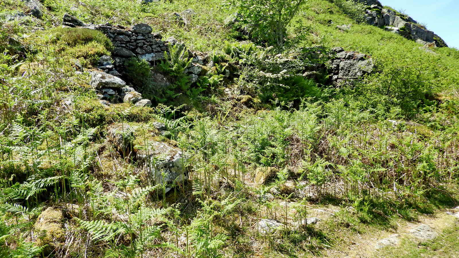 Approaching Holwell Quarry, on the left - ruined building