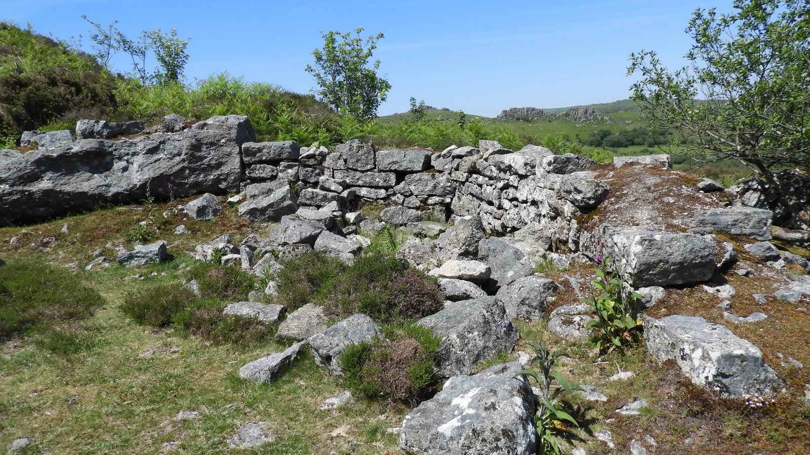 Ruined building inside Holwell Quarry