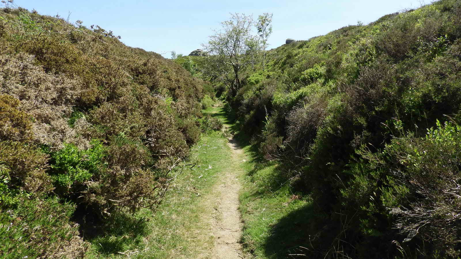 The secluded path into Rubble Heap Quarry