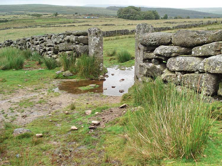 An example of John Bishop’s semi-dressed dry stone walling