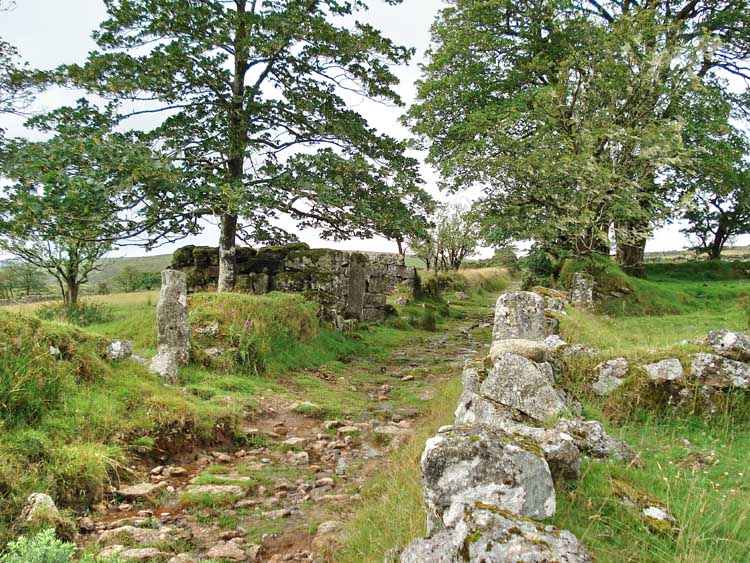 More structures along the lane