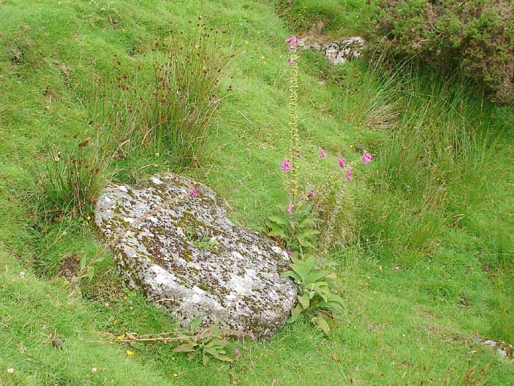 Base stone of a crazing mill that was used to crush tin ore. SX 64510 72800