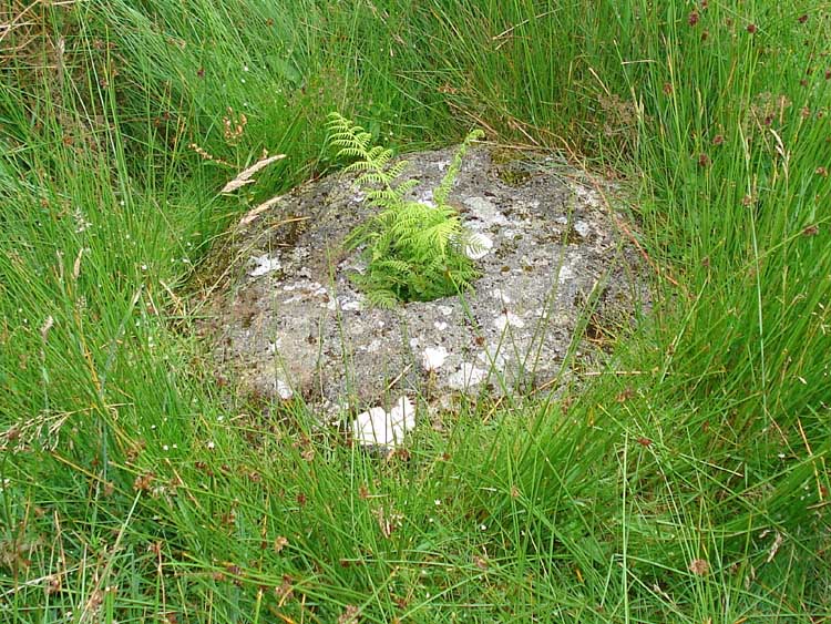 Top stone for the mill