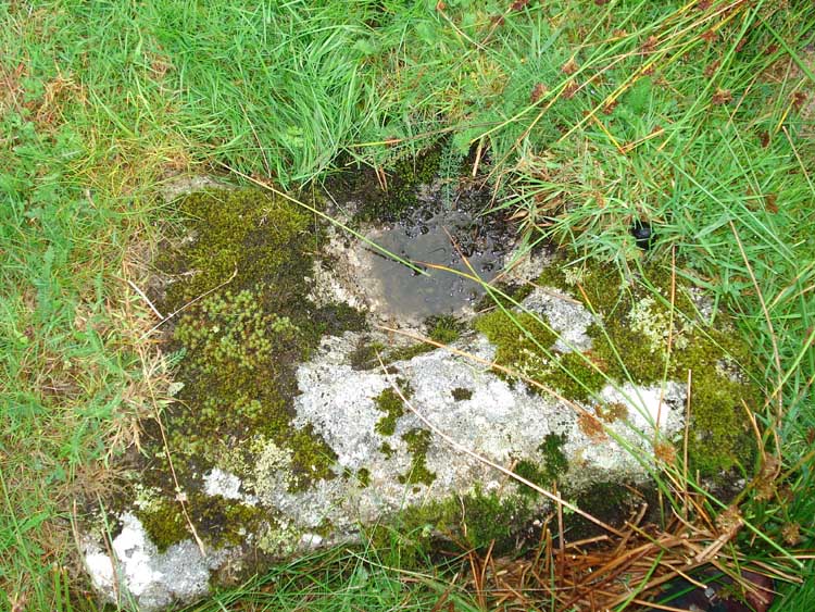 A mortar stone where a vertical stamp smashed up and down against larger pieces of ore to make them small enough for the mill