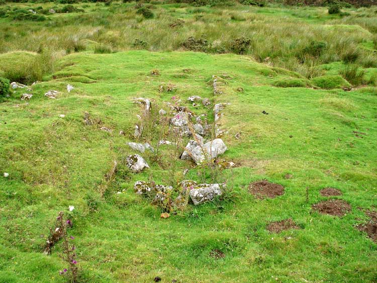 The remains of a wheelpit that once held a 40 foot water wheel, fed by the Swincombe river