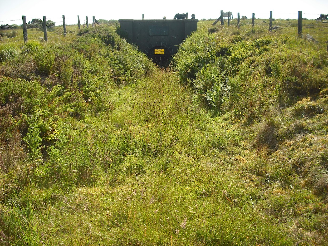 Approach to the Tunnel portal above the road