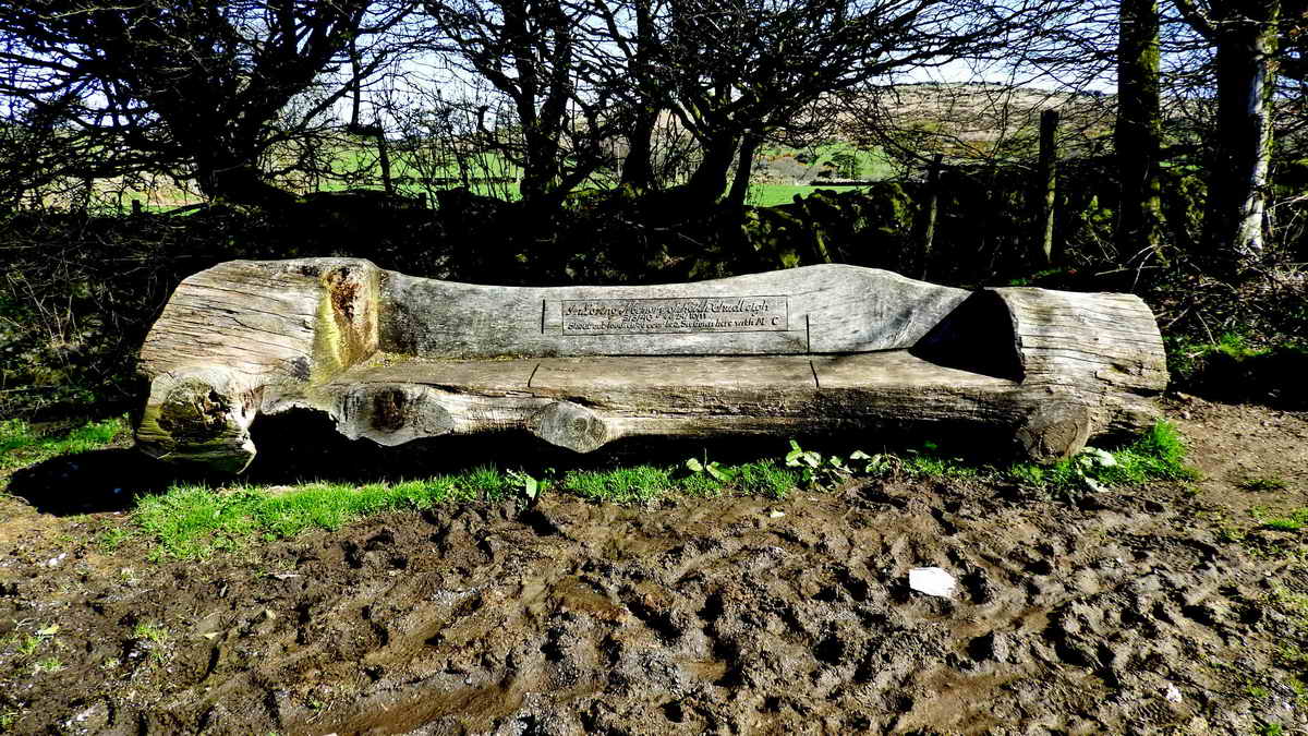 Seat at the back of Swallerton Gate car park, modelled by chainsaw from a tree trunk