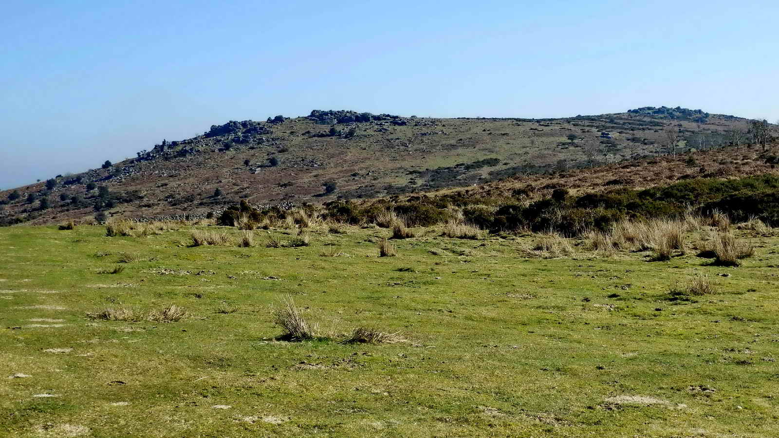 View to the summit rocks on Hayne Down. The pillar of Bowerman’s Nose can just be seen about 1/5th way in from the left edge of the photograph, just breaking the skyline